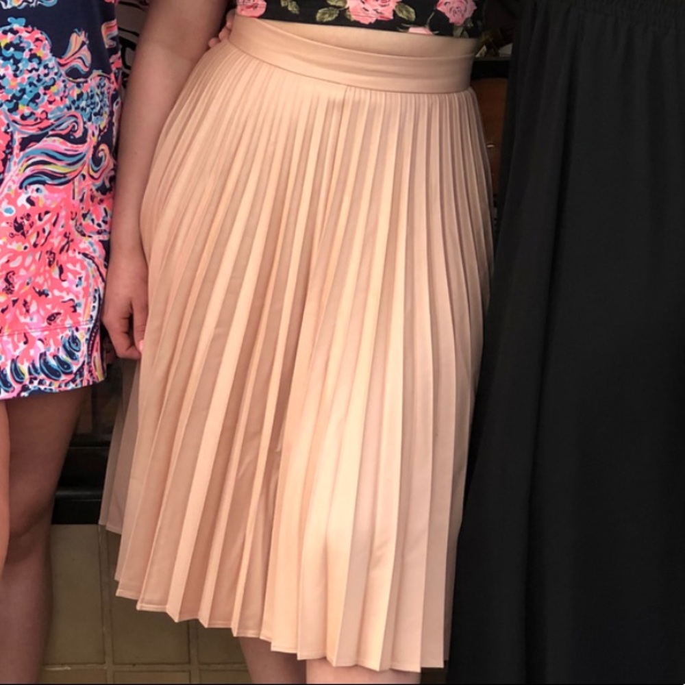 Zara long pleated peach skirt